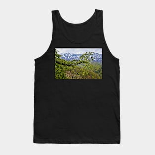 Springtime landscape through forest Tank Top